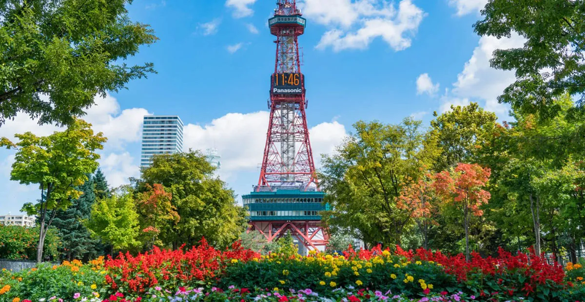 Reformas con enchufe