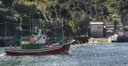 Corredores con antecedentes