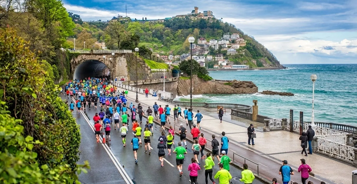 La gata sobre el muro en obras